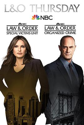法律与秩序：特殊受害者第二十三季 第20集